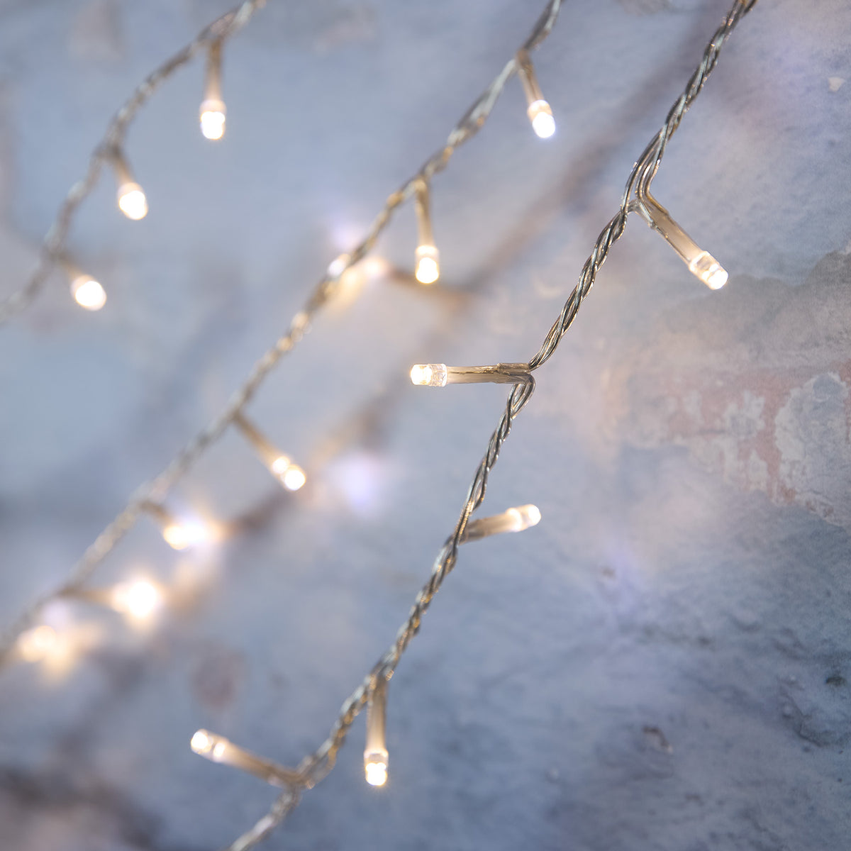 Nahaufnahme warmweiße LEDs an transparentem Kabel der Bicolor Lichterkette