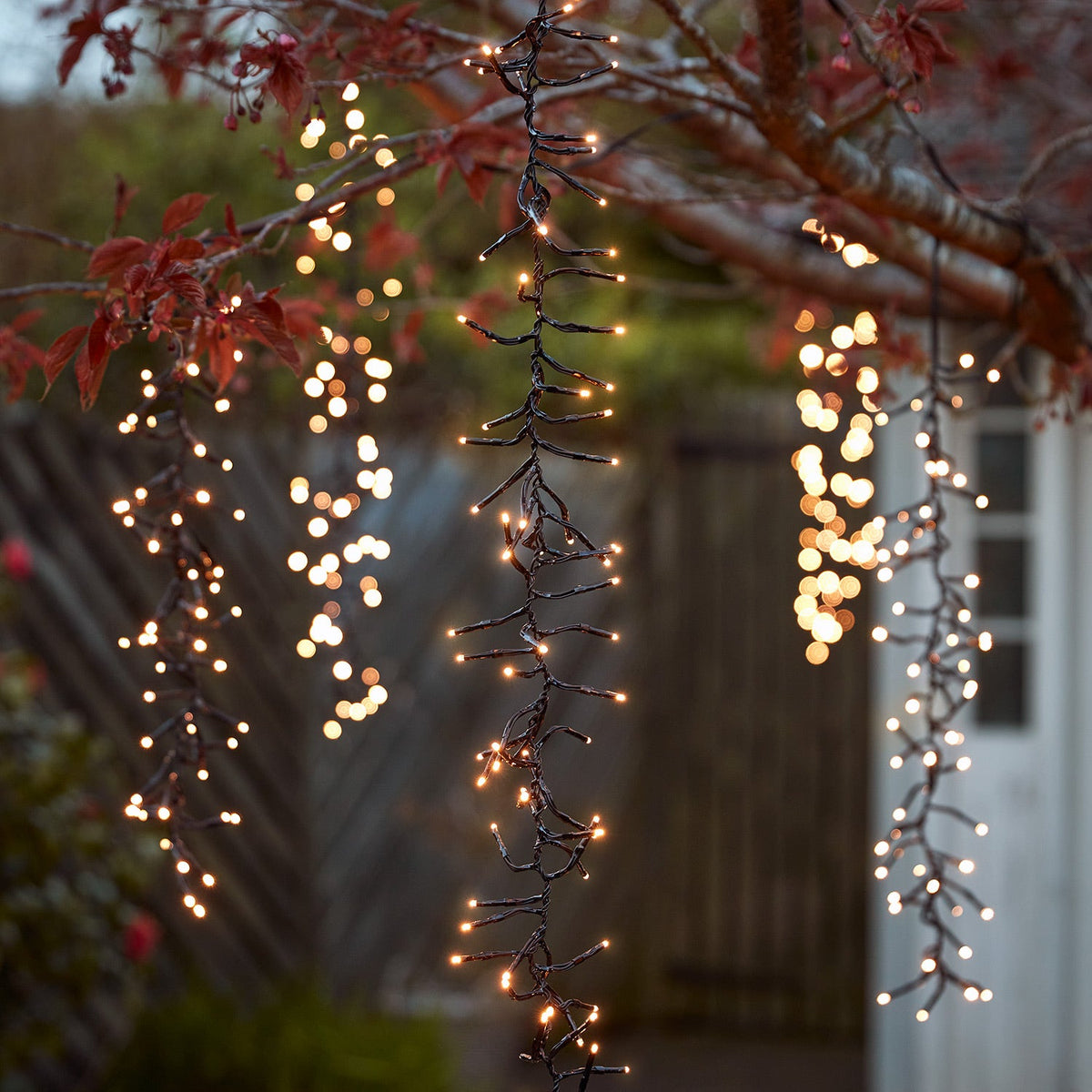 Warmweiße LED-Kaskadenlichter hängen an Ästen eines Baumes im Garten bei Dämmerung