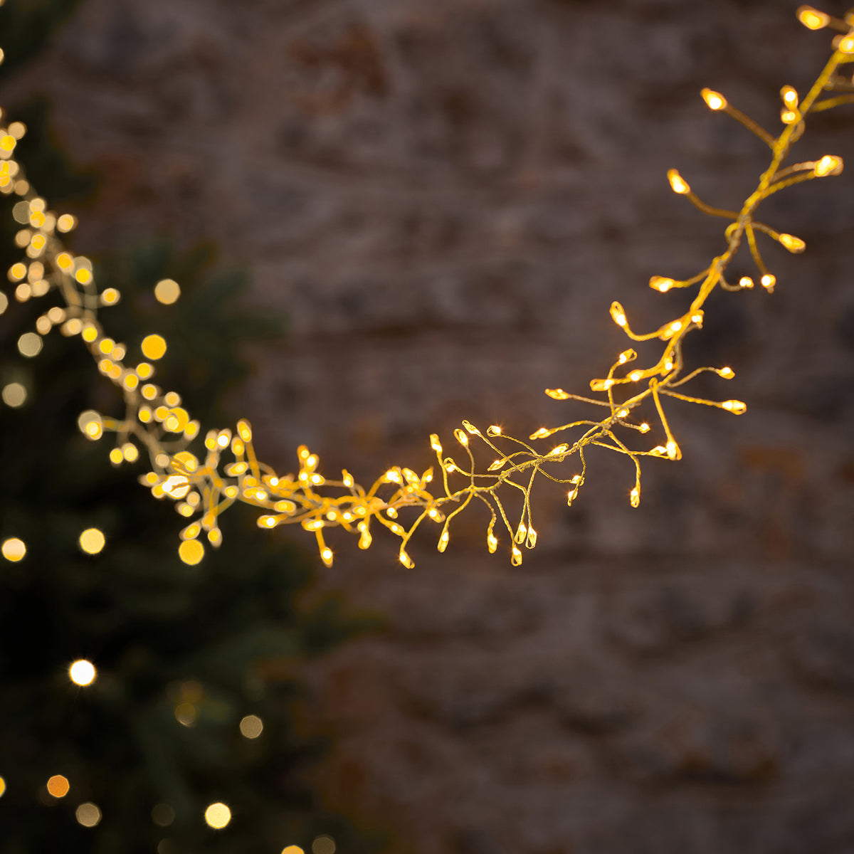 Goldene LED-Cluster-Lichterkette mit warmweißen Mikro-LEDs leuchtet vor unscharfem Hintergrund