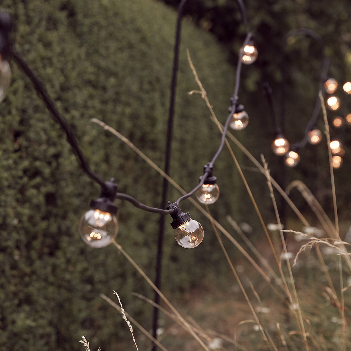 Beleuchtete Party-Lichterkette mit transparenten Birnen im Garten vor grüner Hecke