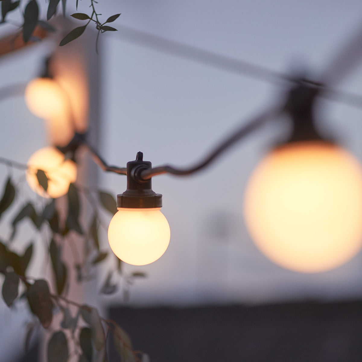 Abendaufnahme von warmweißen LED-Glühbirnen an schwarzem Kabel der Lichterkette im Garten