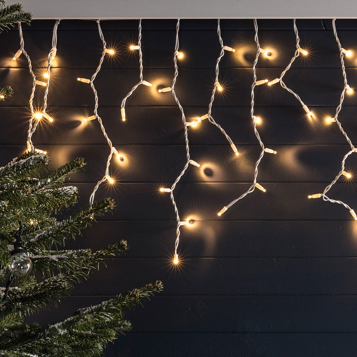 Nahaufnahme warmweiße LED Eiszapfen-Lichterkette an schwarzer Wand mit Tannenzweig