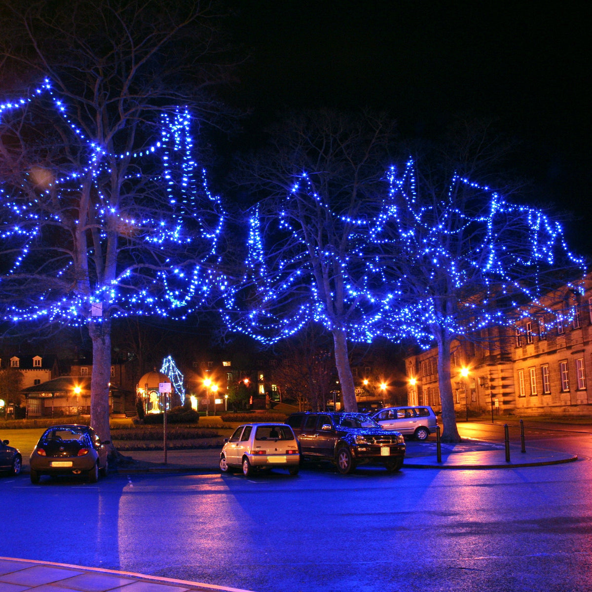 Mehrere Bäume mit blau leuchtenden LED-Lichterketten in einer nächtlichen Parkanlage