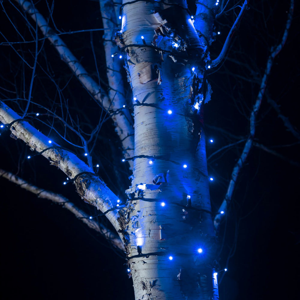 Nahaufnahme einer Birkenrinde mit blau leuchtenden LED-Lichtern der Lichterkette