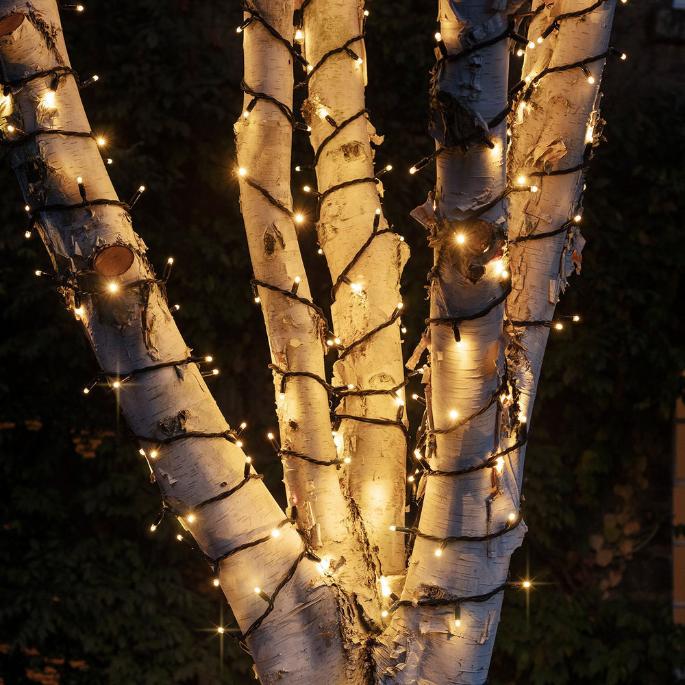Nahaufnahme von warmweißen LED-Lichtern, die um Baumstämme mit schwarzem Kabel gewickelt sind