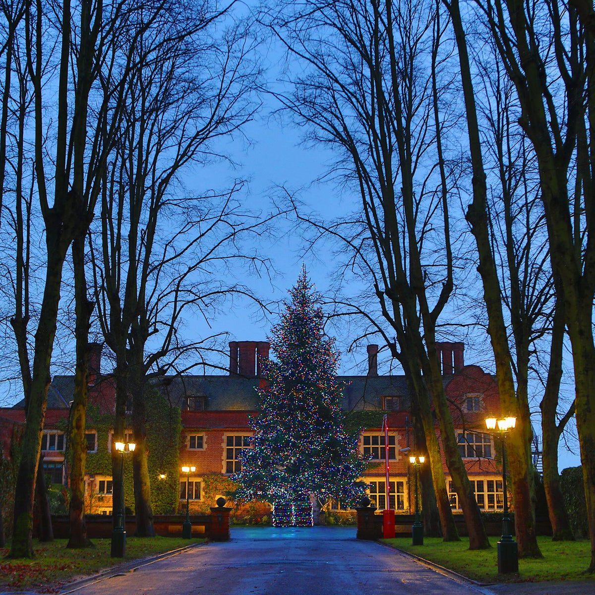 Großer Weihnachtsbaum mit bunter LED-Lichterkette vor einem Gebäude am Abend