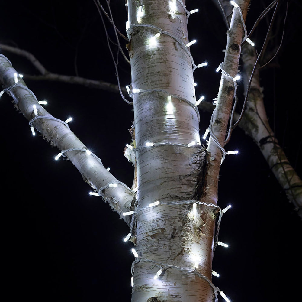 Weiße LED-Lichterkette um einen Baumstamm gewickelt bei Nacht