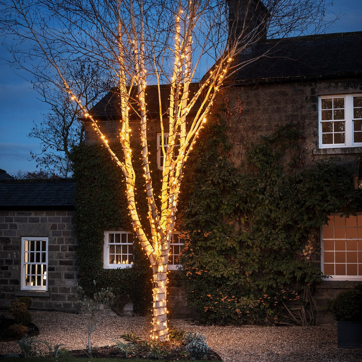 Baum mit gold warmweißen LED-Lichterketten umwickelt vor einem Haus bei Abenddämmerung