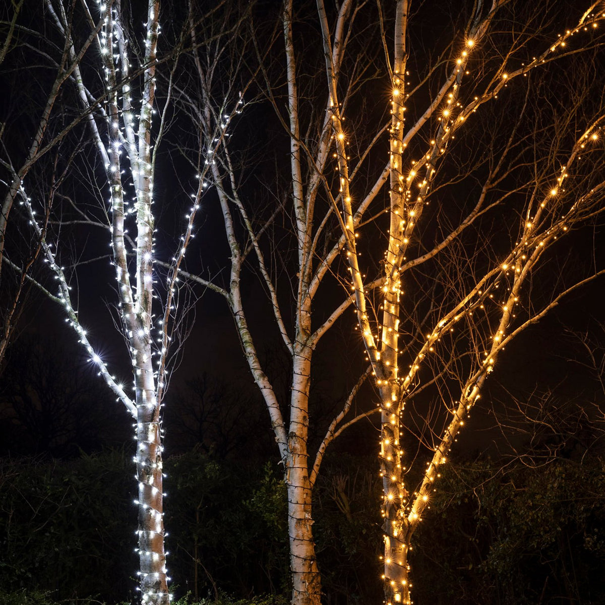 Zwei Bäume mit warmweißen und kaltweißen LED Lichterketten umwickelt bei Nacht