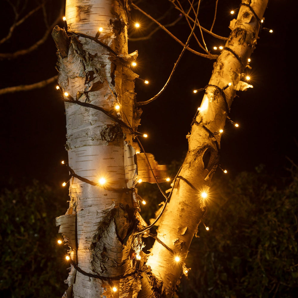 Gold warmweiße LED Lichterkette um einen Baumstamm gewickelt bei Nacht