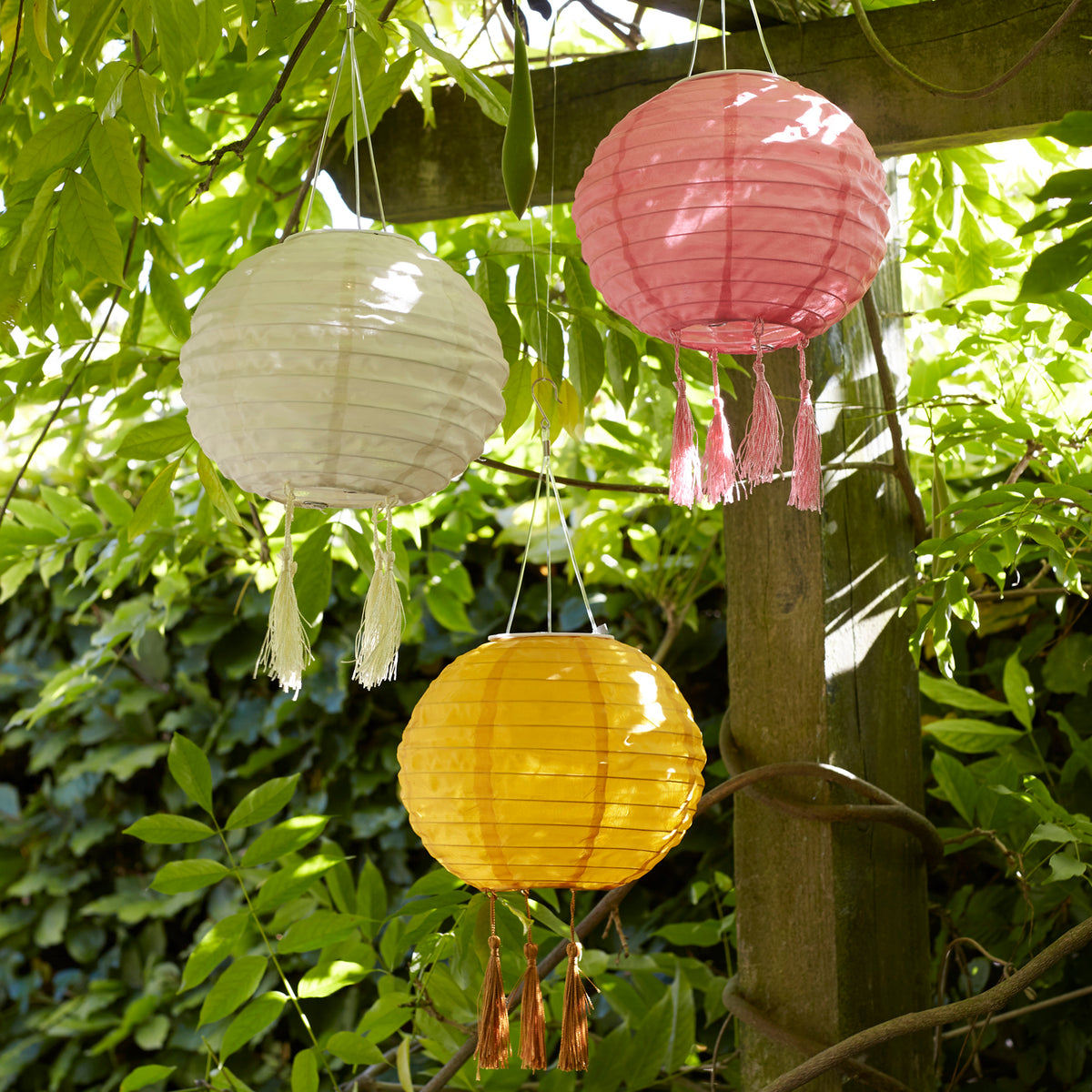 Drei bunte Solar Lampions in Creme, Gelb und Rosa hängen an einer Pergola im Garten