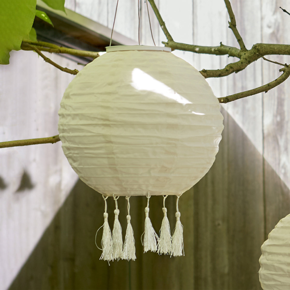 Crèmefarbener runder Solar-Lampion mit Fransen hängt an einem Baumzweig