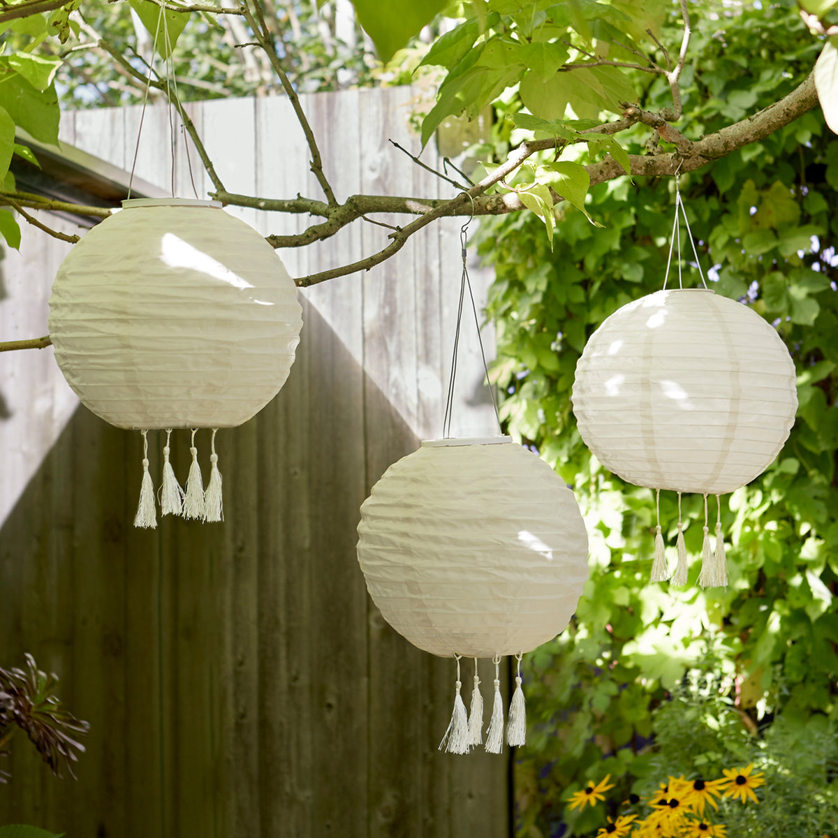 Drei cremefarbene Solar-Lampion mit Fransen hängen an Ästen im Garten