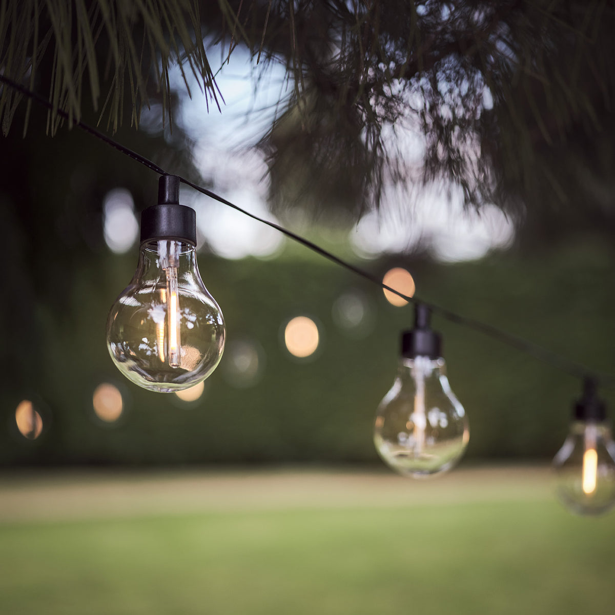 Nahaufnahme einer transparenten Glühbirne mit warmweißer LED an schwarzem Kabel im Garten
