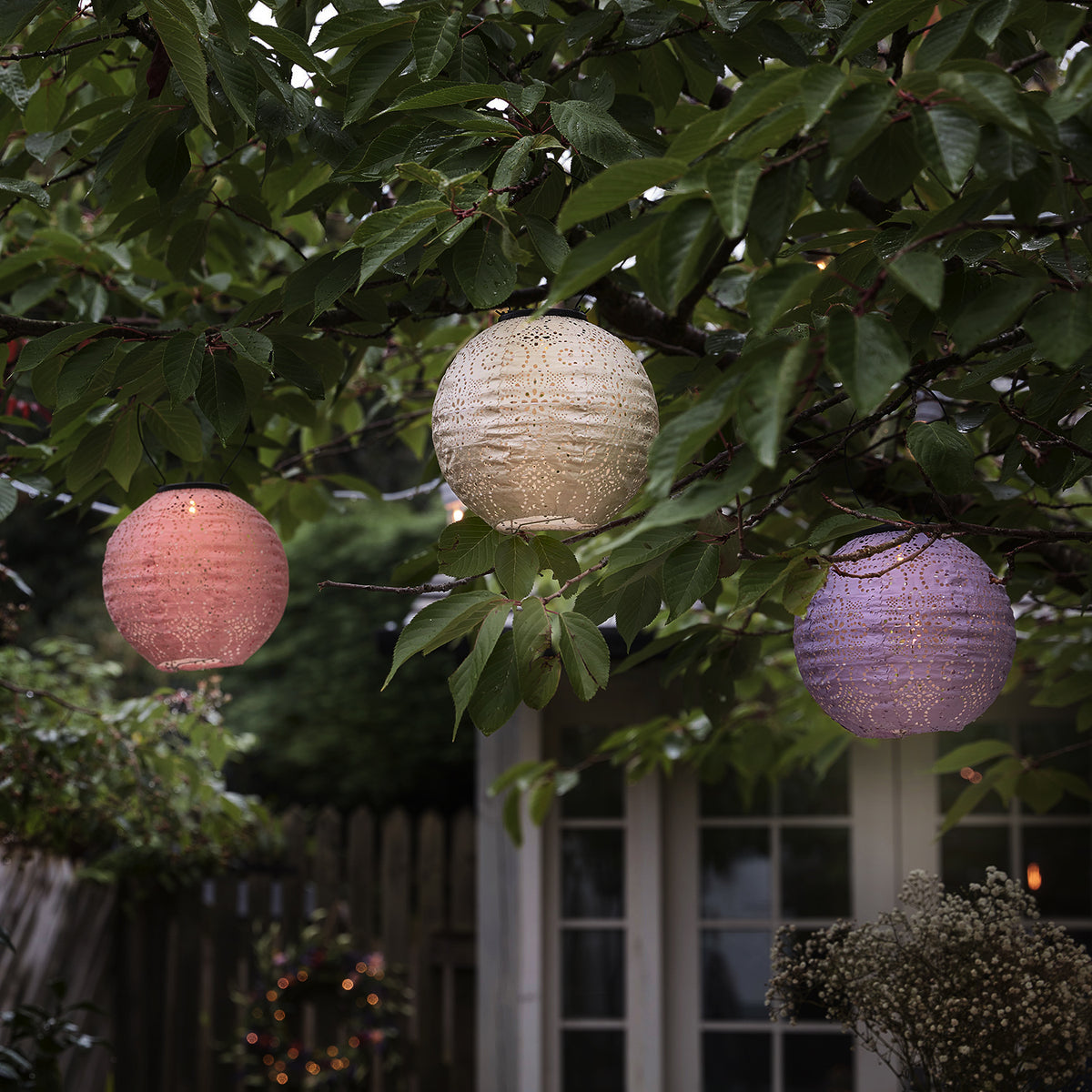 Beleuchtete Tyvek Solar Lampions in Rosa, Weiß und Lila hängen an einem Baum vor einem Haus