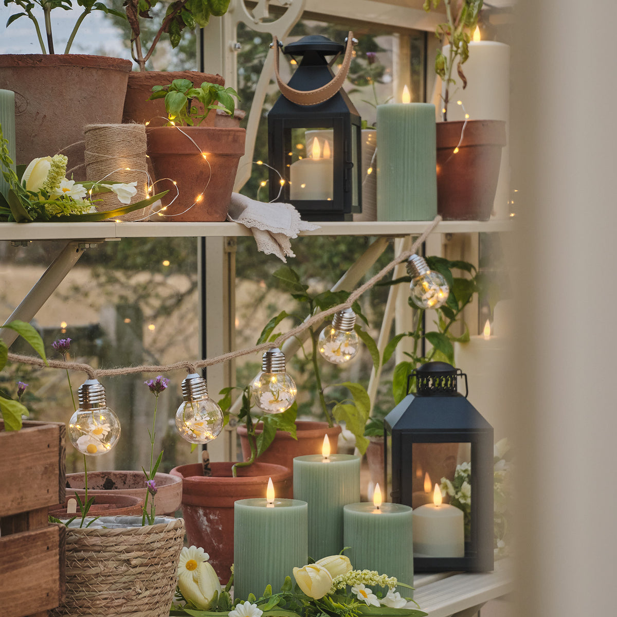 LED-Lichterkette mit Gänseblümchen-Glühbirnen dekorativ im Gewächshaus mit Kerzen