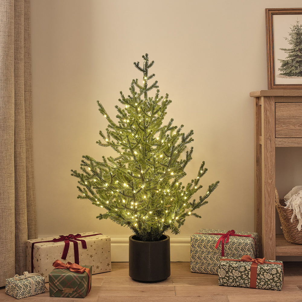 Beleuchteter Weihnachtsbaum im Topf mit warmweißen LEDs neben Geschenken im Wohnzimmer