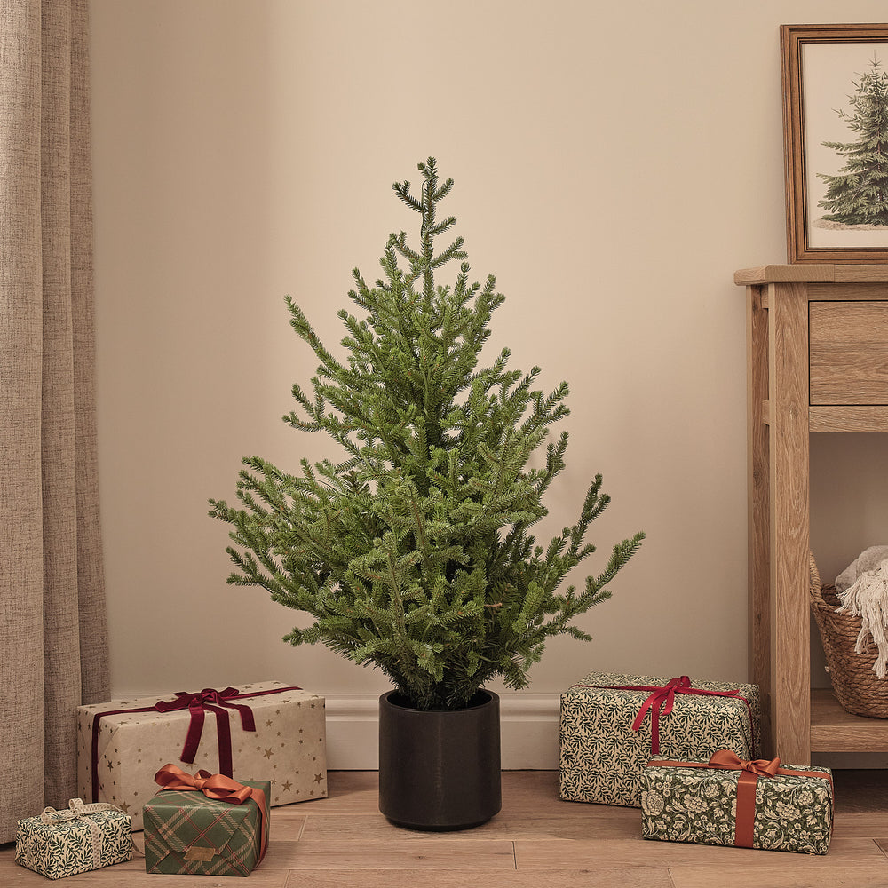 Unbeleuchteter künstlicher Weihnachtsbaum im schwarzen Topf mit Geschenken im Raum