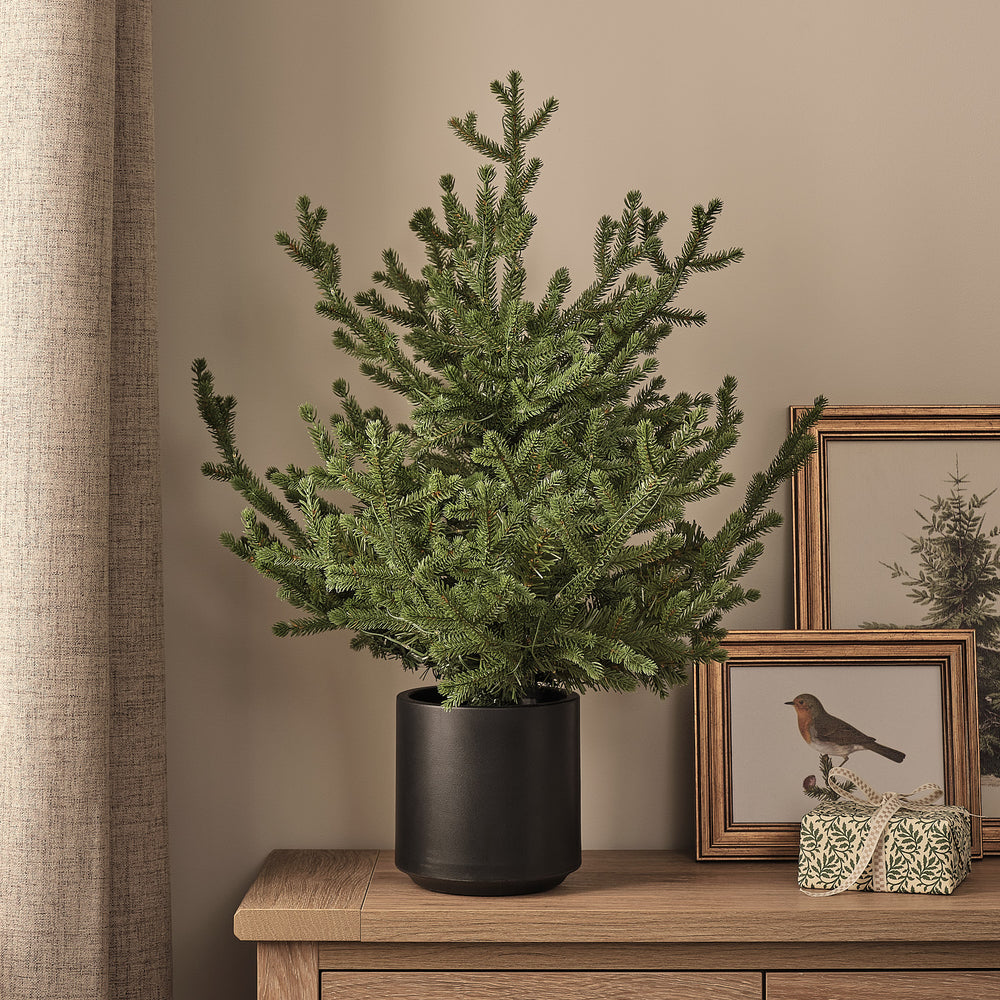 Künstlicher Weihnachtsbaum im Topf ohne Beleuchtung auf Holztisch vor Wand mit Bildern
