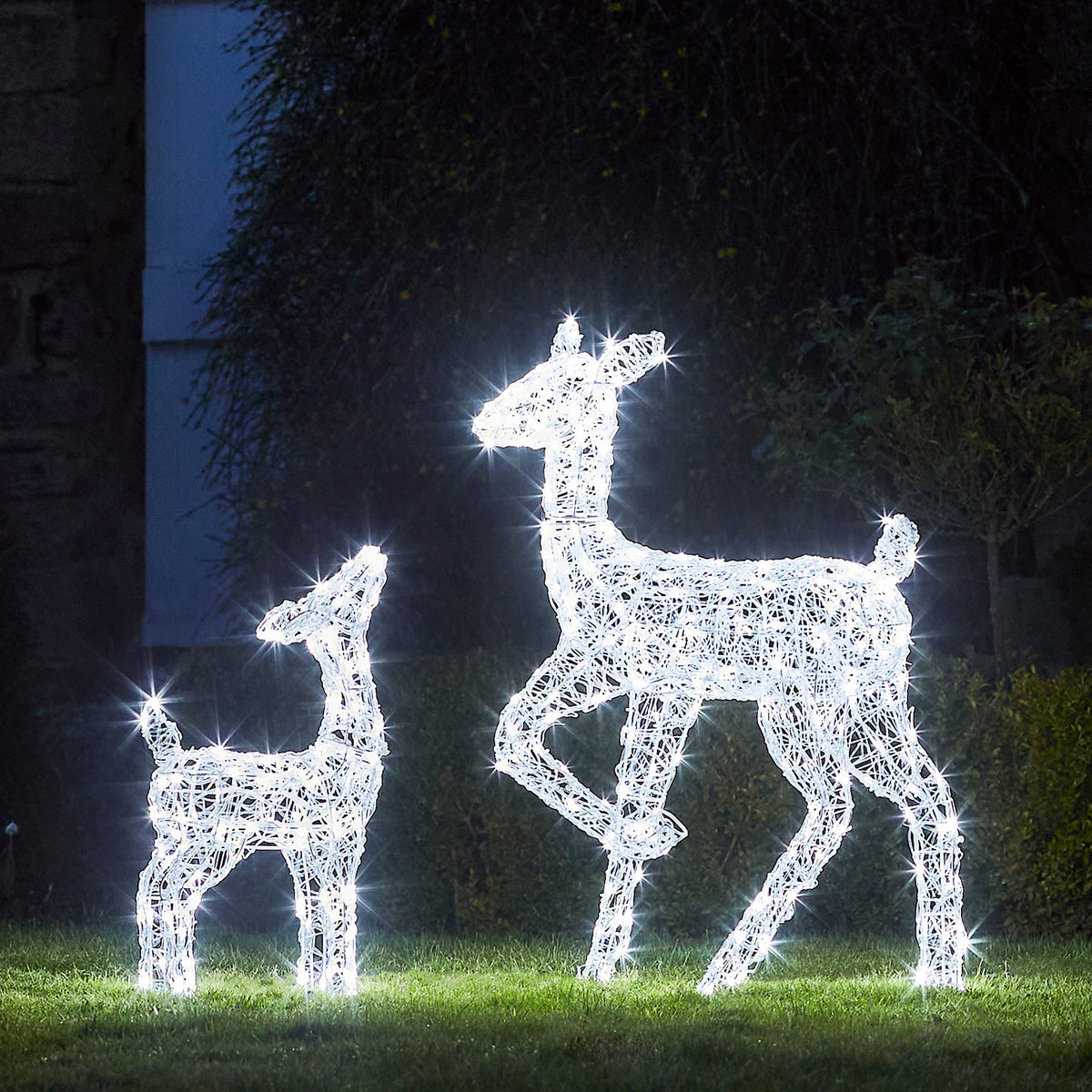 Solar-LED-Rentiere Hirschkuh und Rehkitz beleuchtet nachts auf Rasen im Garten