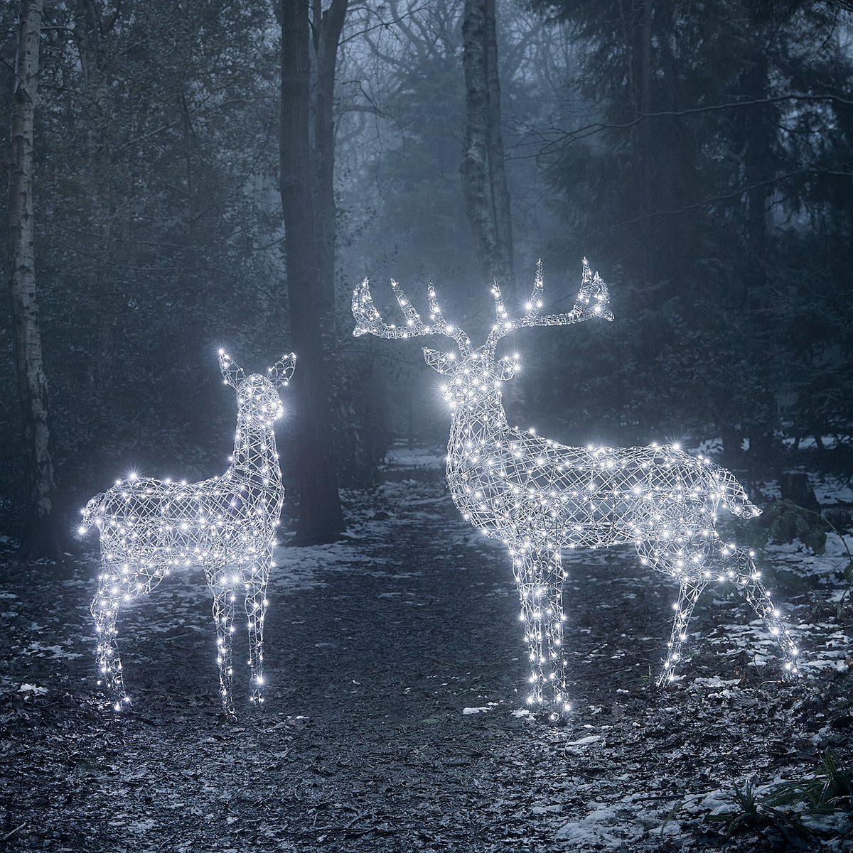 LED-Rentier Hirschkuh und LED-Rentier mit Geweih im Wald mit kaltweißem Licht und Schnee