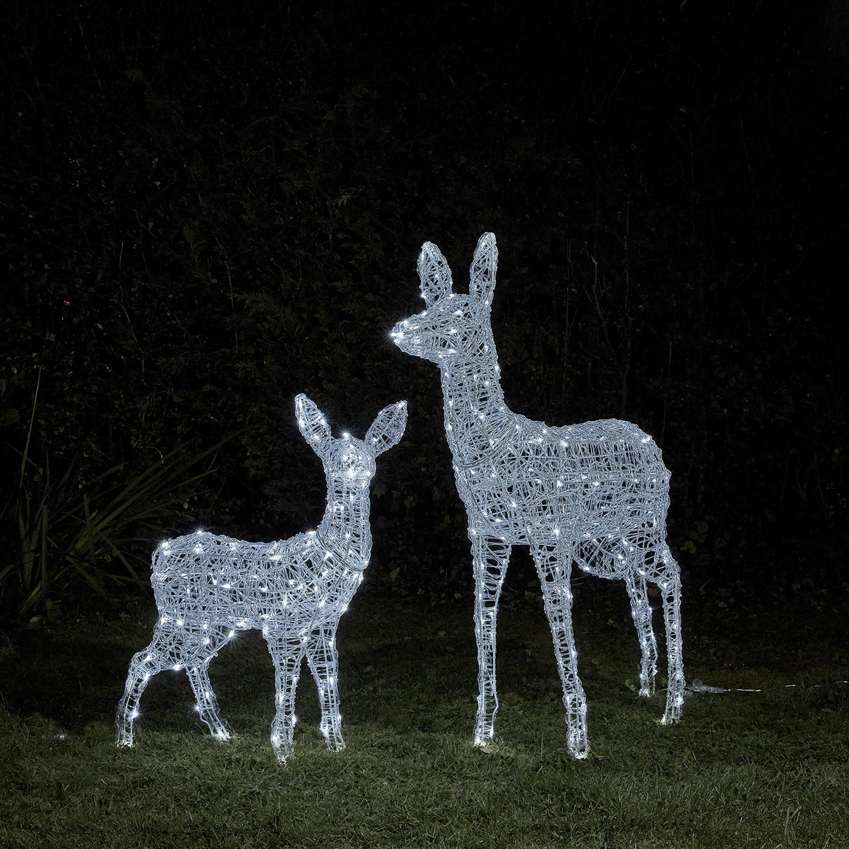 Bicolor LED-Rentiere Mutter und Kind mit kaltweiß leuchtenden LEDs im Garten bei Nacht