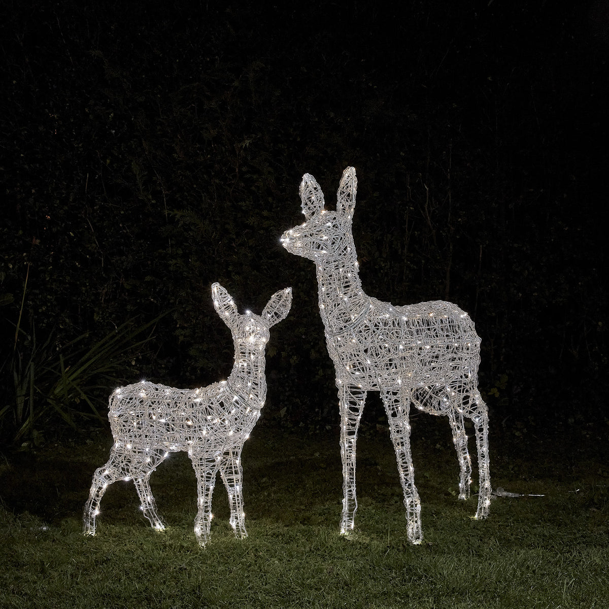 Bicolor LED-Rentiere Mutter und Kind mit kaltweiß leuchtenden LEDs im Garten bei Nacht