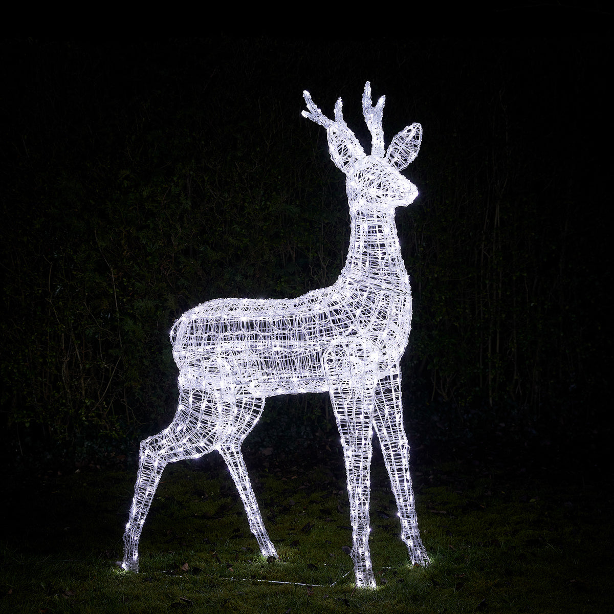 Großes Rentier aus Acrylgestell mit kaltweiß leuchtenden LEDs im Garten bei Nacht