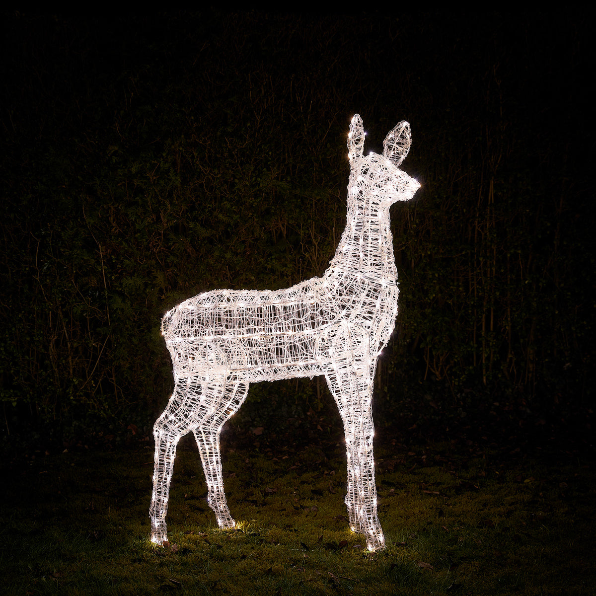 Solar-LED-Rentier Hirschkuh XL in weißem Licht mit 300 LEDs im Garten bei Nacht