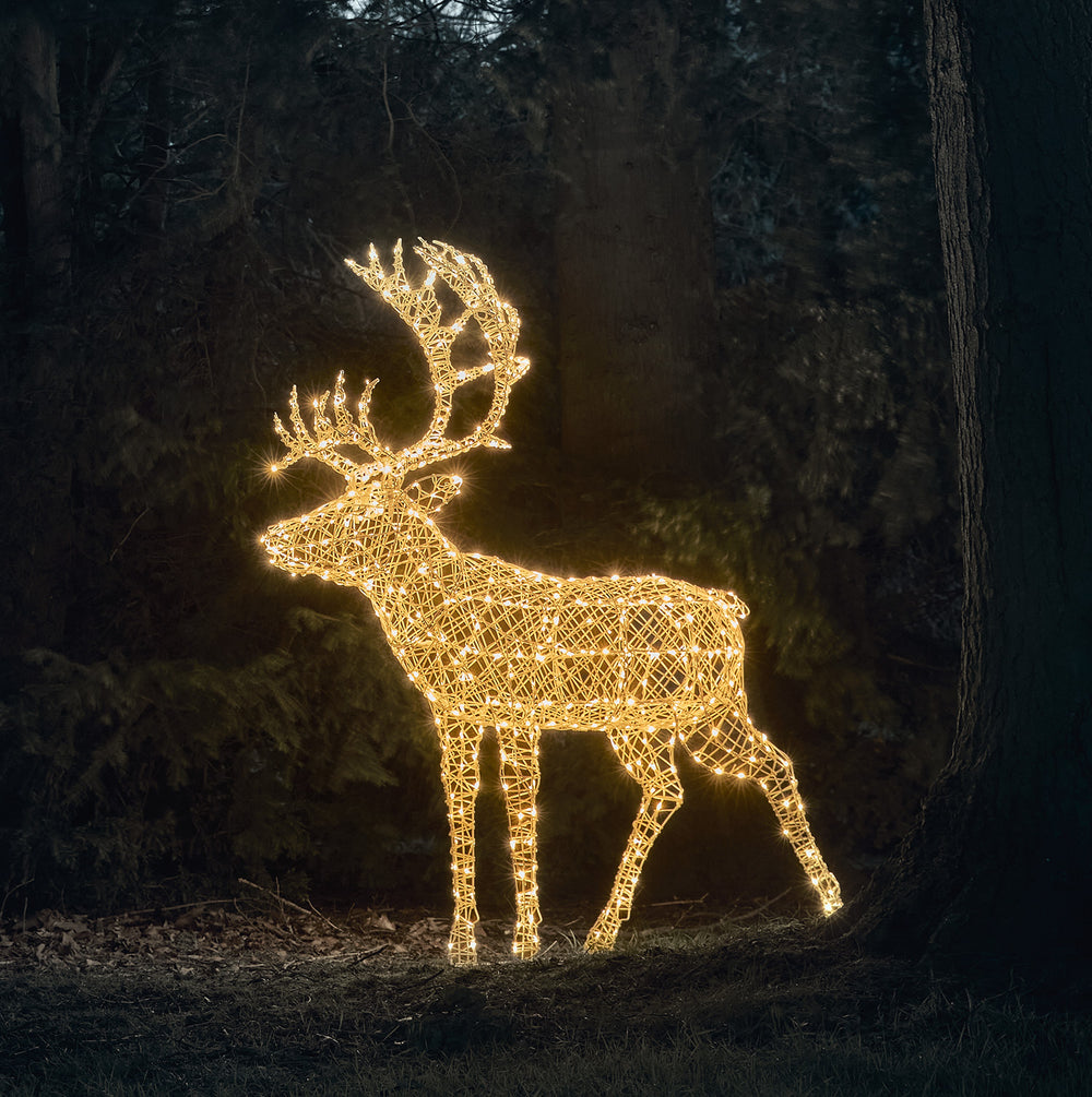 Bicolor LED Rentier aus Rattanoptik mit warmweißem Licht im dunklen Wald