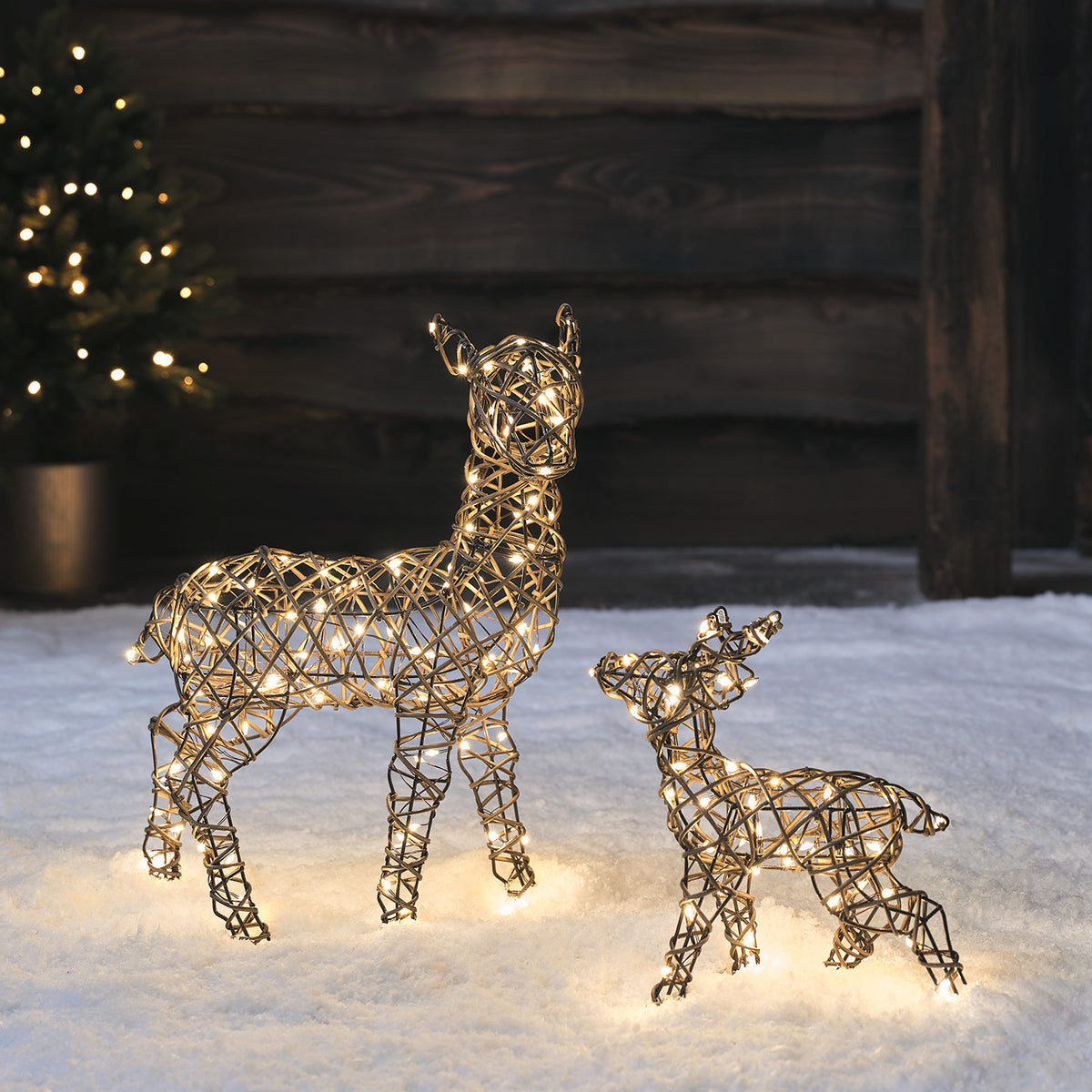Mini LED-Rentier Hirschkuh und Rehkitz aus Rattanimitat mit warmweißen Lichtern im Schnee