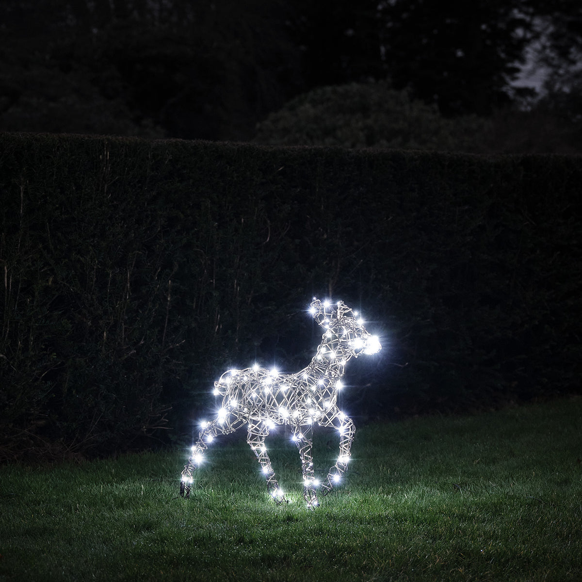 LED-Rentier Rehkitz mit warmweißen Lichtern in Garten bei Nacht