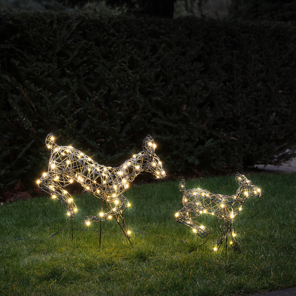 LED-Rentiere Hirschkuh und Rehkitz mit warmweißen Lichtern auf grünem Rasen bei Dunkelheit