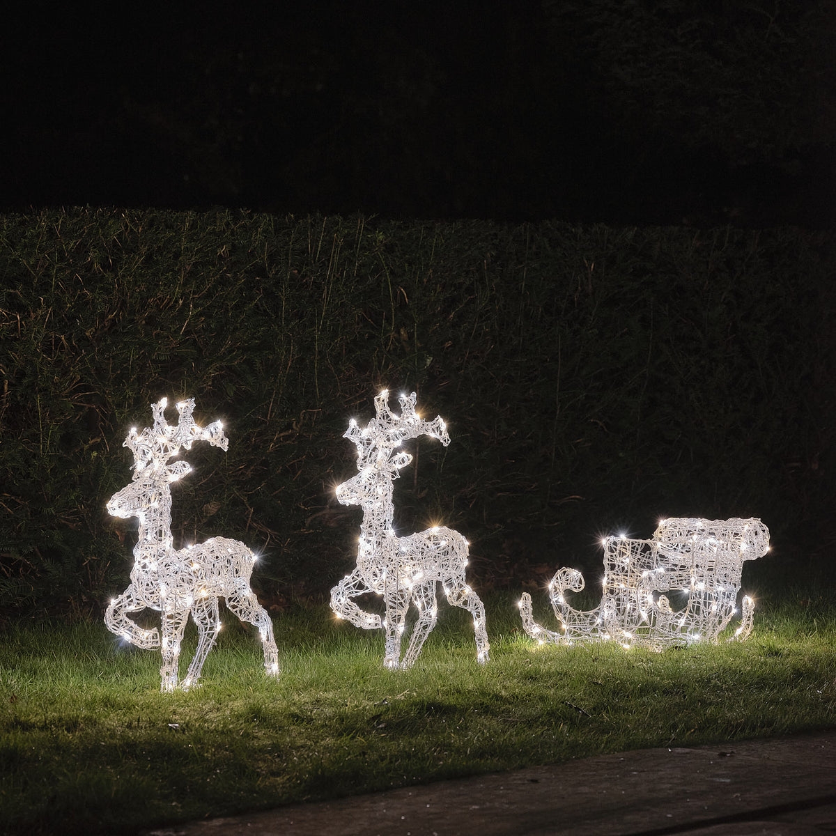 Zwei LED-Rentiere und Schlitten mit kühlem weißem Licht auf Rasen vor dunkler Hecke bei Nacht