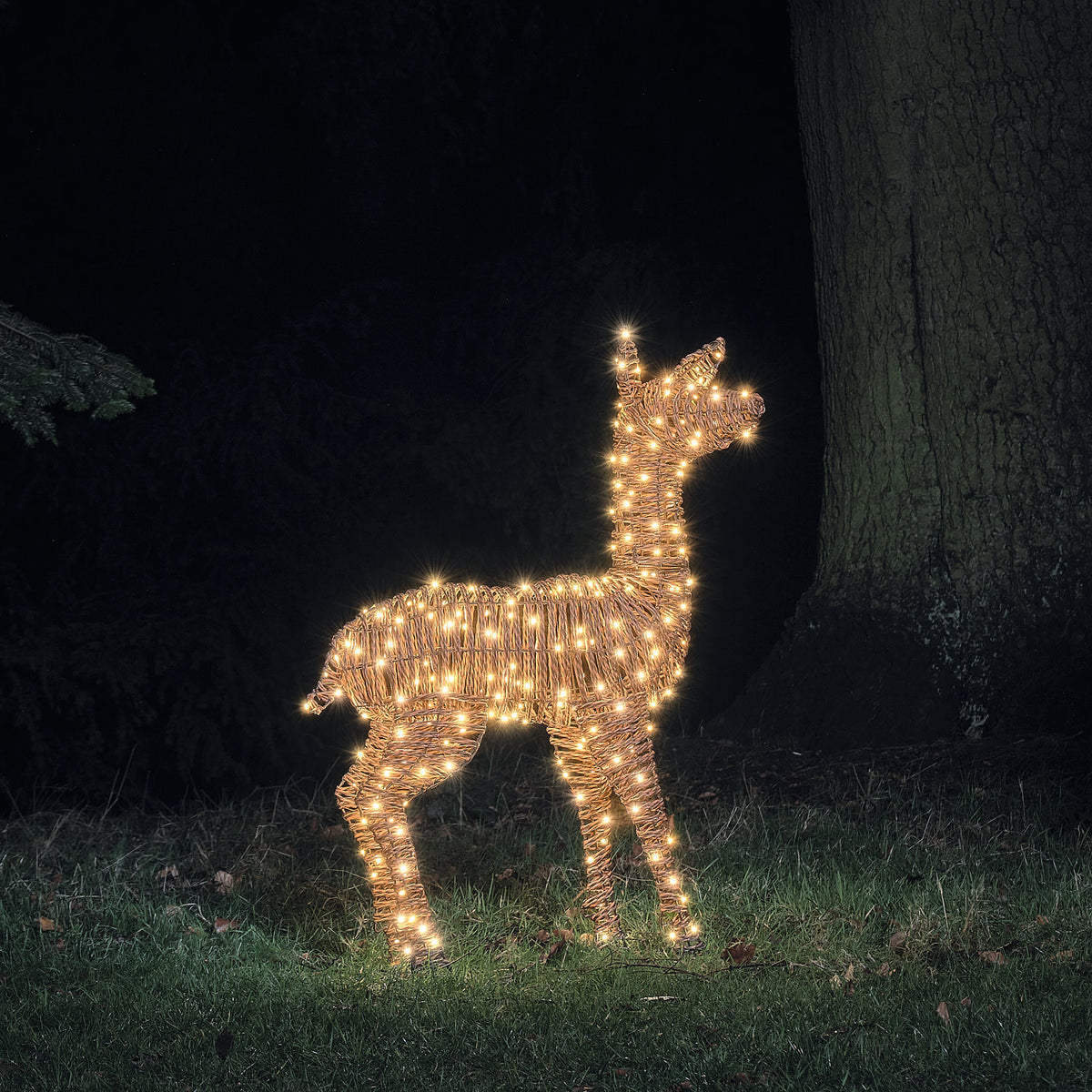 98 cm Pateley Rattan LED-Rentier Hirschkuh mit 260 Mikro-LEDs und Timer in Warmweiß