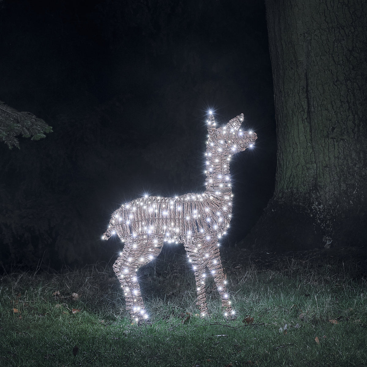 98 cm Pateley Rattan LED-Rentier Hirschkuh mit 260 Mikro-LEDs und Timer in Kaltweiß