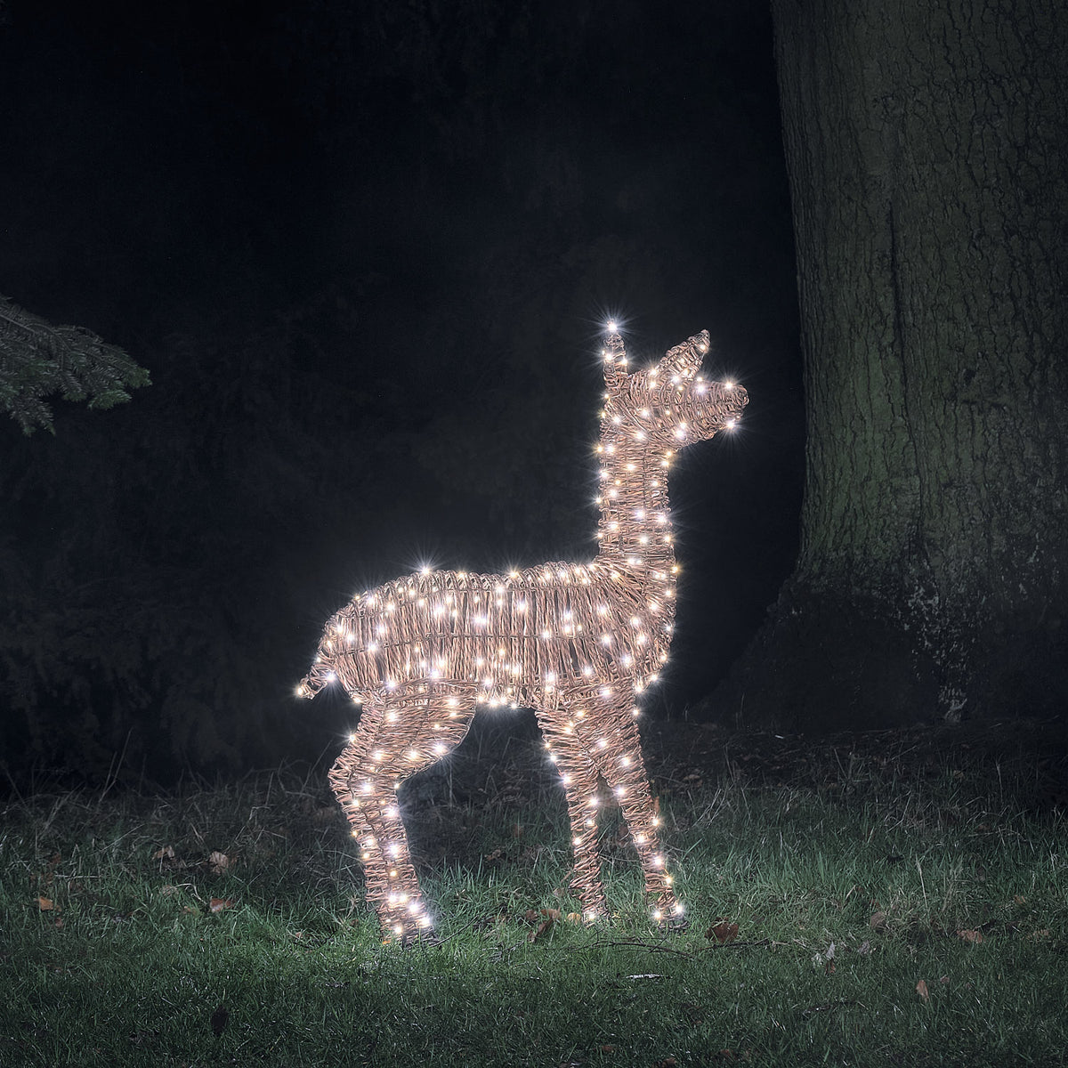 98 cm Pateley Rattan LED-Rentier Hirschkuh mit 260 Mikro-LEDs und Timer in bicolor Beleuchtung