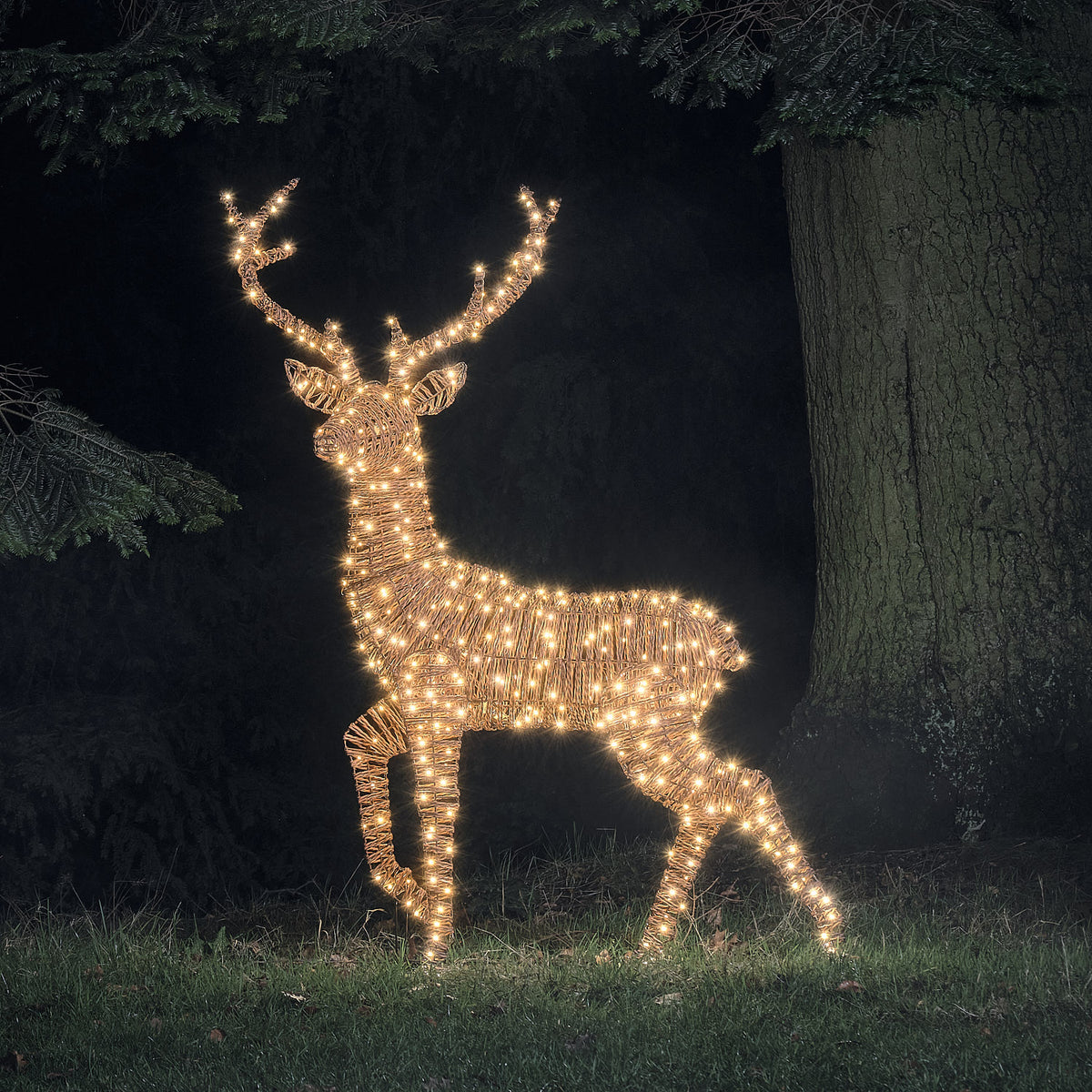 Pateley XL LED-Rentier Hirsch im Rattan-Look mit 500 Mikro-LEDs in Warmweiß
