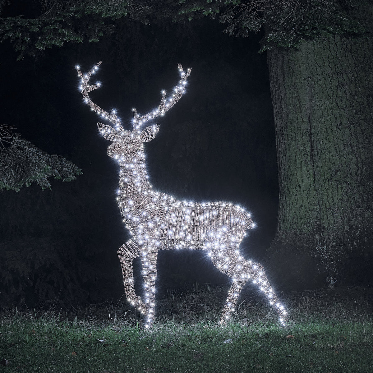 Pateley XL LED-Rentier Hirsch im Rattan-Look mit 500 Mikro-LEDs in Kaltweiß