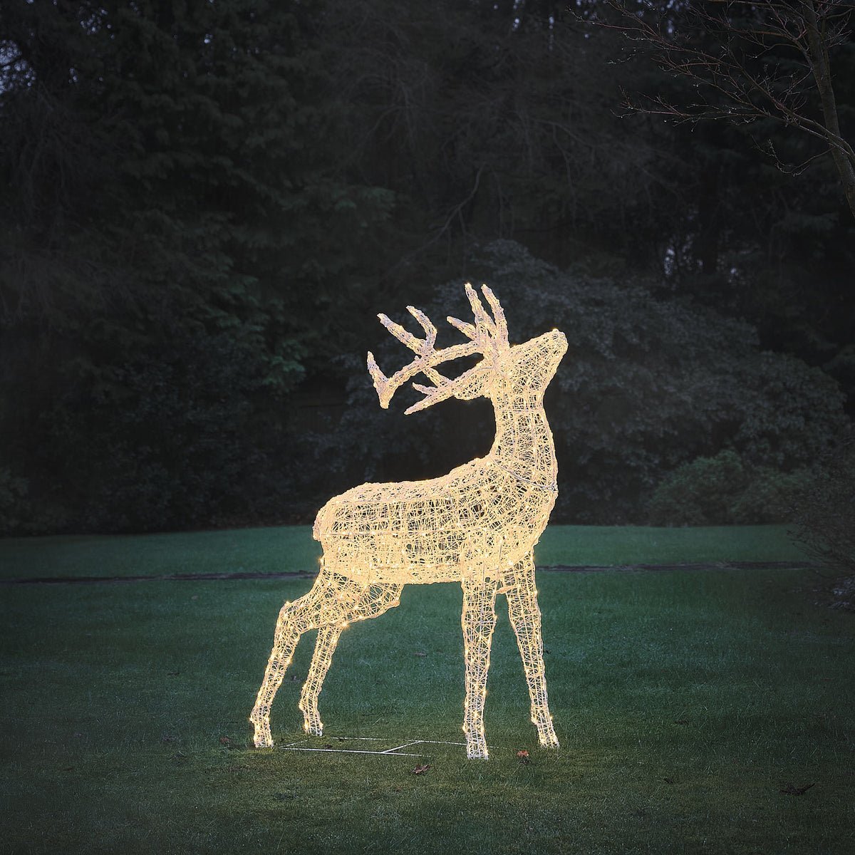 Bicolor LED-Rentier Hirsch XL Swinsty mit 450 LEDs in warmweiß