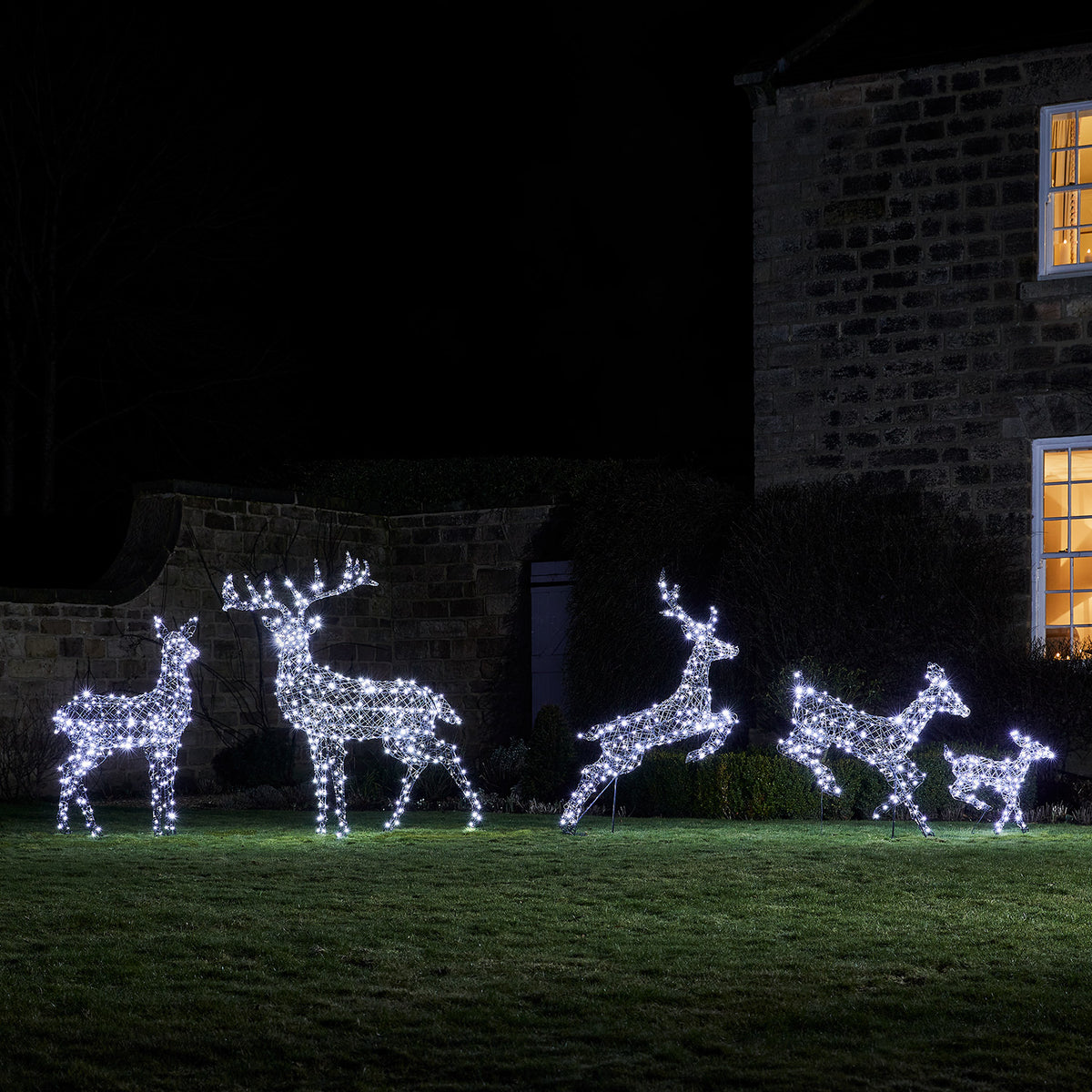 LED-Rentier Hirschkuh und LED-Rentier mit Geweih im Garten mit kaltweißem Licht vor Haus