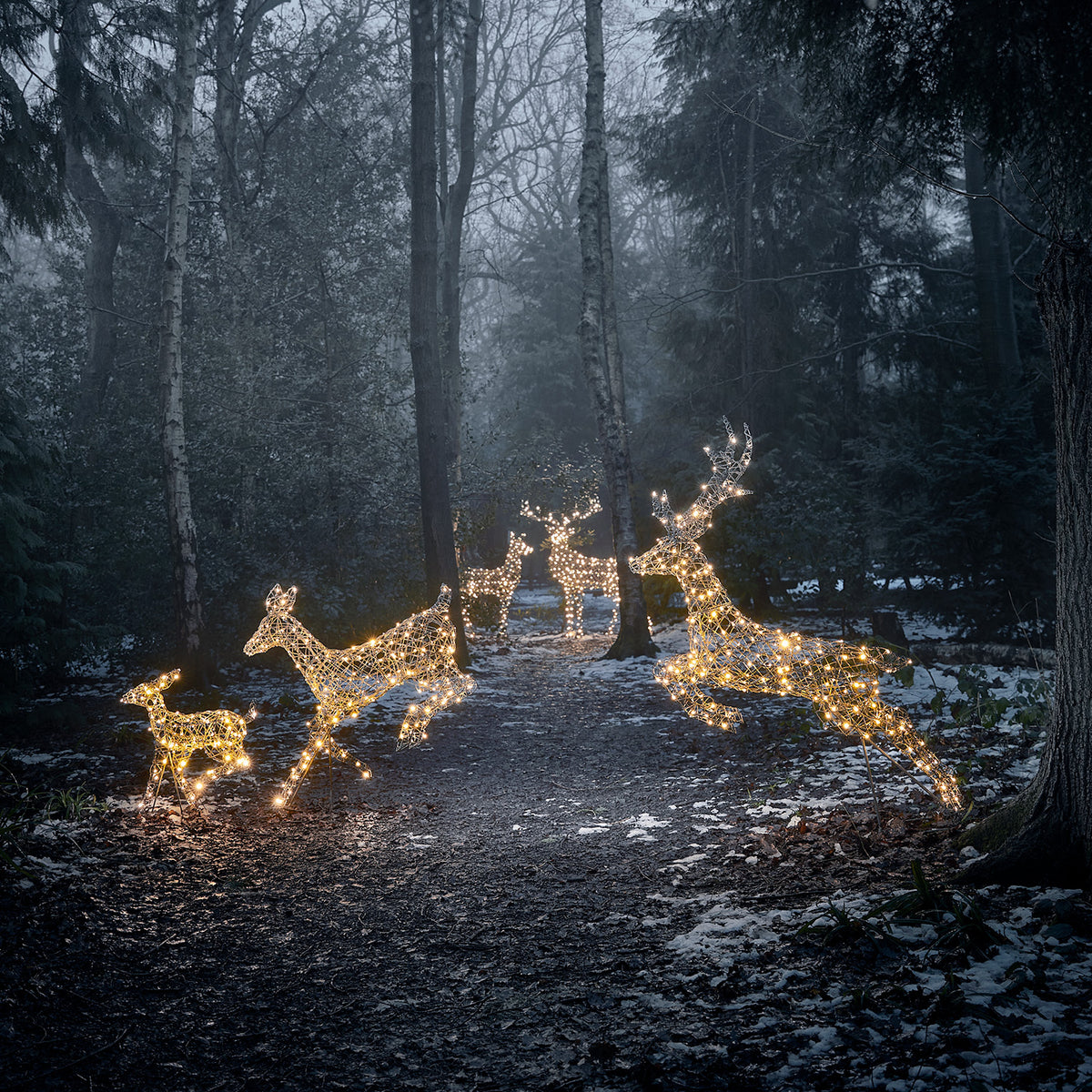 LED-Rentier Hirschkuh und LED-Rentier mit Geweih im Wald mit warmweißem Licht und Schnee