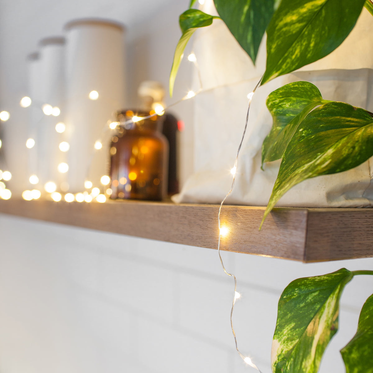 Warmweiße Micro USB Lichterkette umrankt Pflanze auf Holzregal mit braunen Flaschen vor weißer Wand