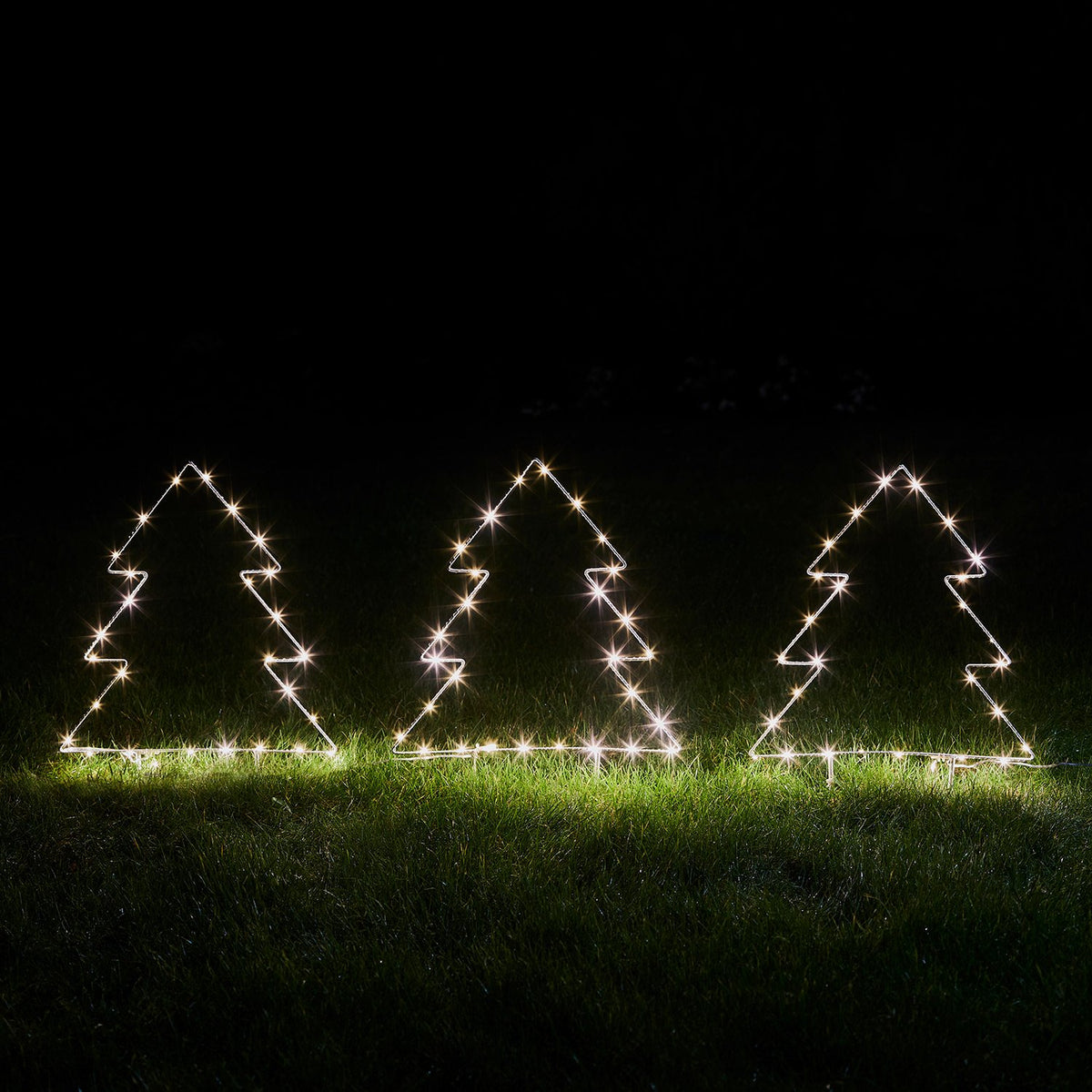 Drei leuchtende Micro LED Tannenbäume aus Metallrahmen nebeneinander auf Gras bei Nacht