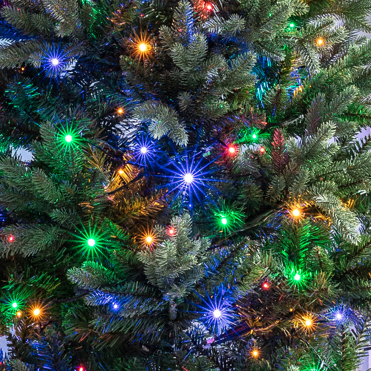 Nahaufnahme bunter LED-Lichterkette auf grünen Tannenzweigen eines Weihnachtsbaums