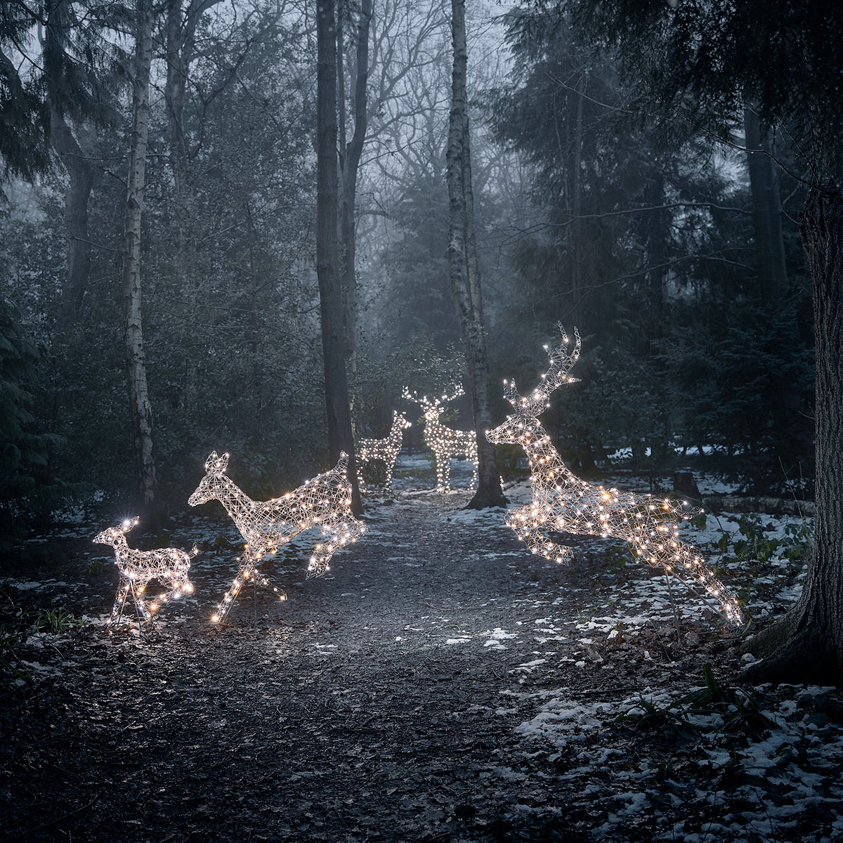 Fünf LED-Rentiere mit gemischtem warmweißem und weißem Licht auf einem verschneiten Waldweg bei Dämmerung