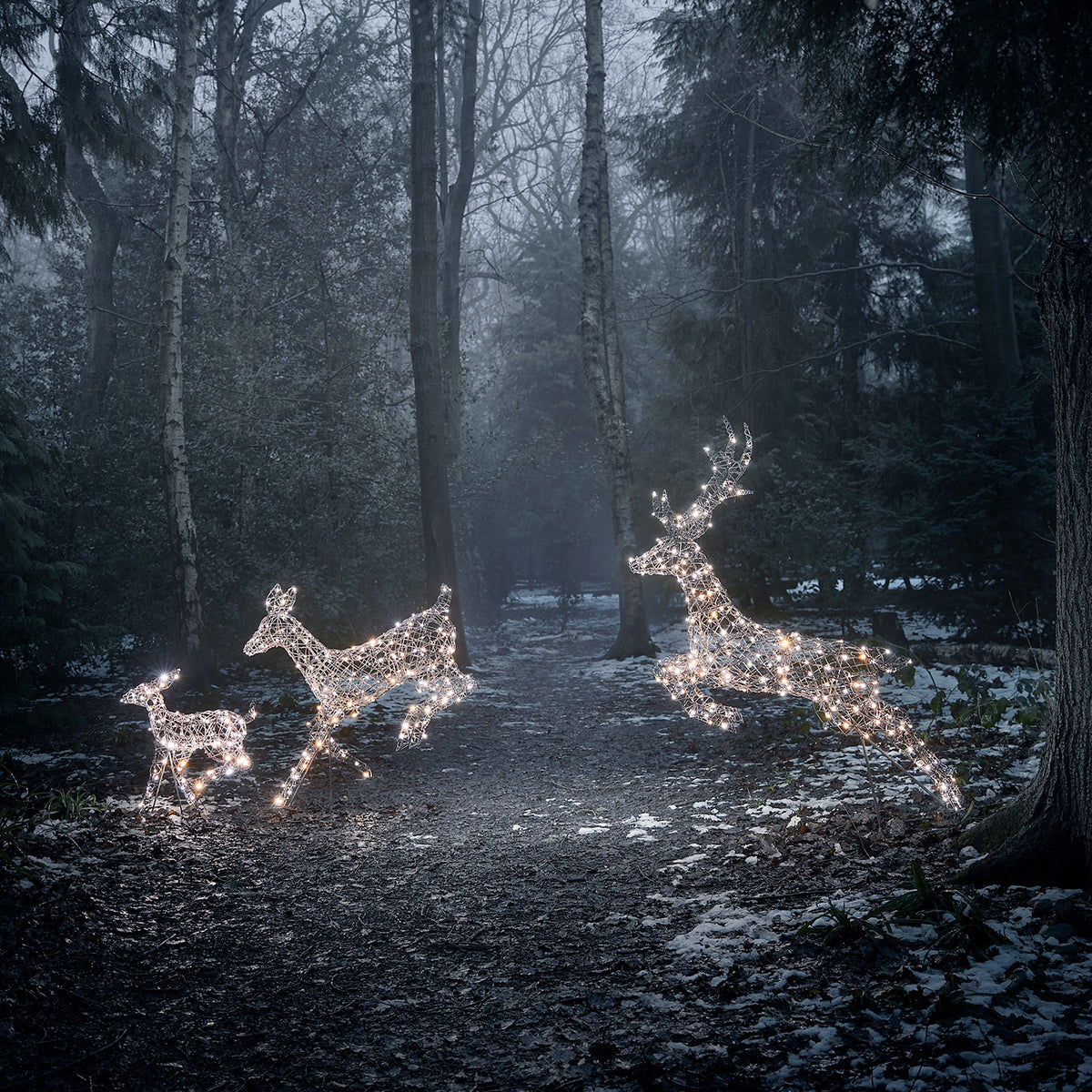 Drei springende LED-Rentiere mit weißen Lichtern im dunklen Wald bei Schnee