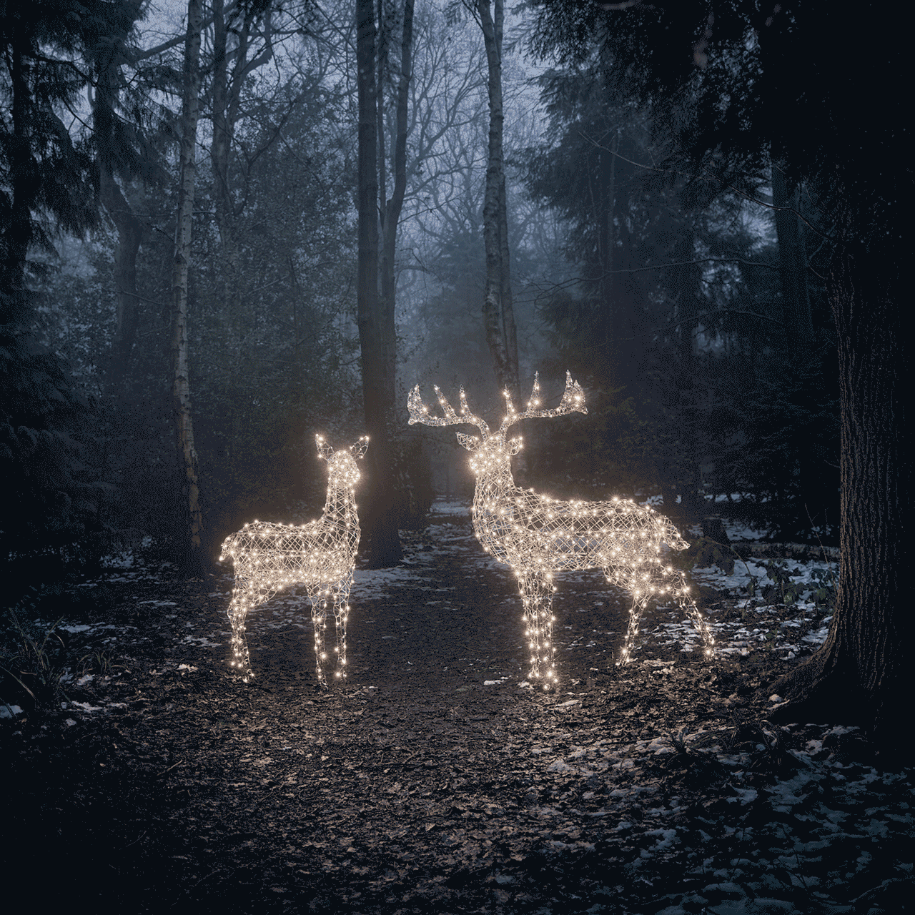 Animiertes GIF zeigt LED-Rentiere mit wechselnden Lichtfarben im dunklen Wald