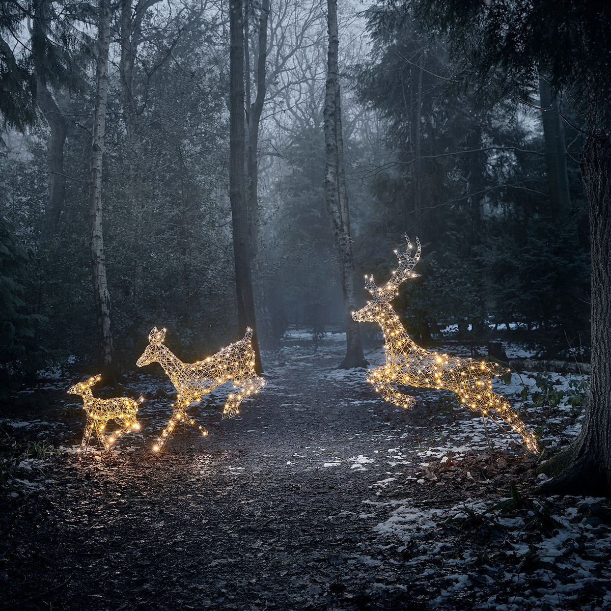 Drei springende LED-Rentiere mit warmweißen Lichtern im dunklen Wald bei Schnee
