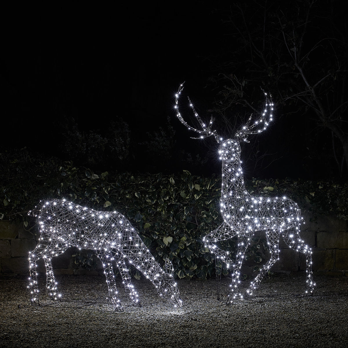 Zwei LED-Rentiere mit eisig weißen Lichtern vor dunklem Hintergrund